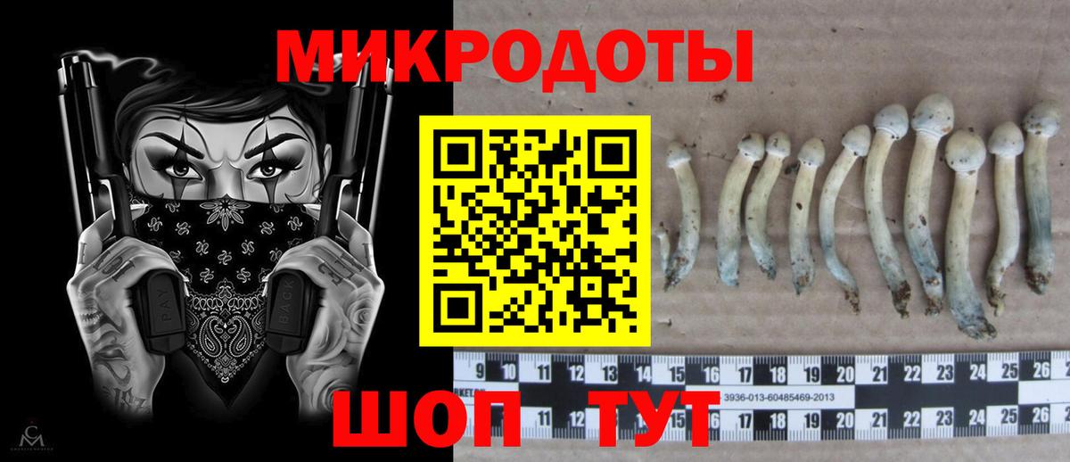 Псилоцибиновые грибы мицелий  Вход с VPN  Переславль-Залесский 